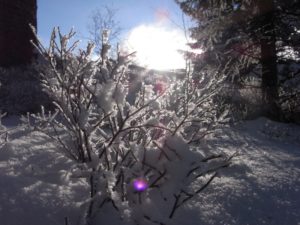 Winterimpression Sonne Bärnkopf